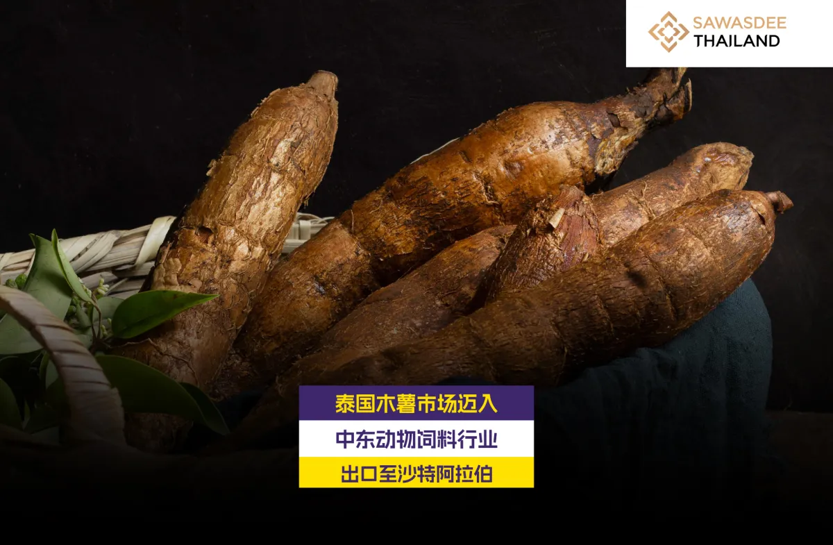 泰国木薯市场迈入 中东动物饲料行业  出口至沙特阿拉伯