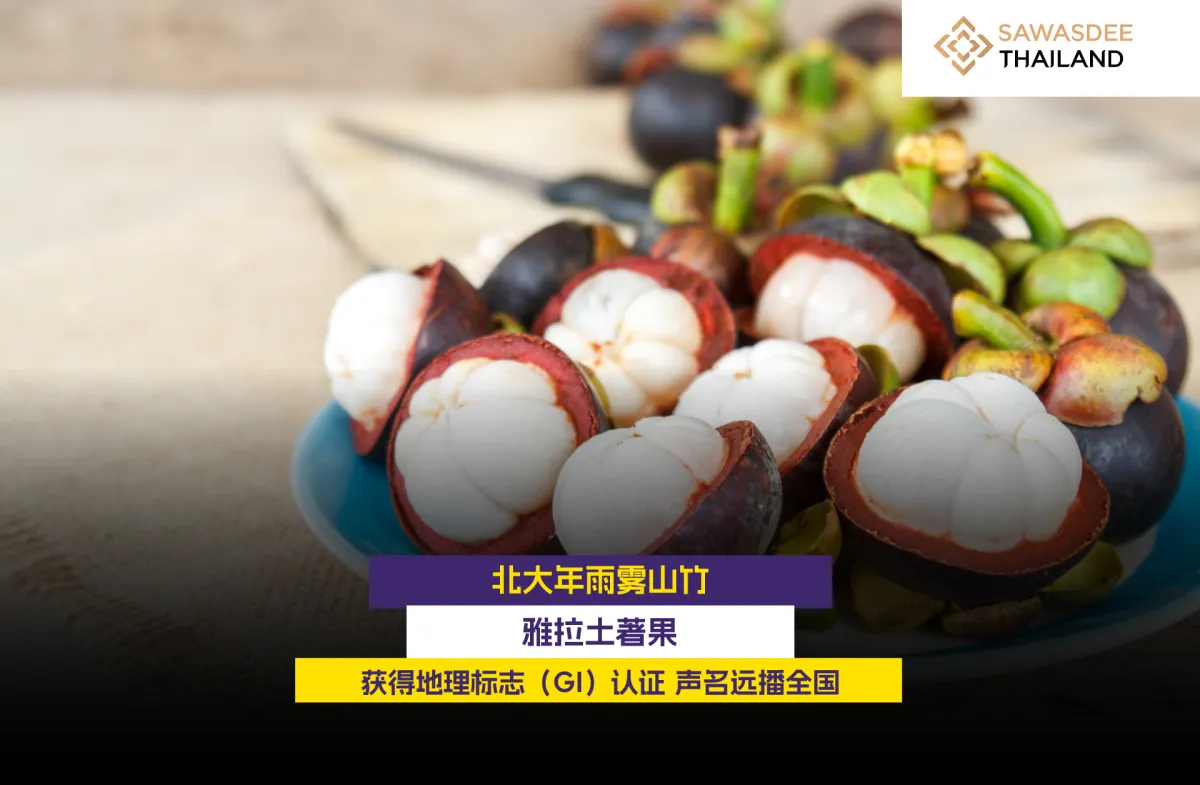 北大年雨雾山竹，雅拉土著果获地理标志（GI）认证