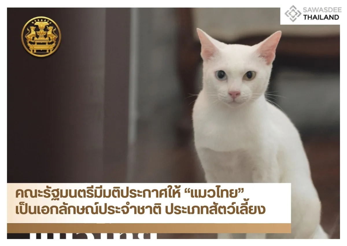 คณะรัฐมนตรีมีมติประกาศให้ “แมวไทย” เป็นเอกลักษณ์ประจำชาติ ประเภทสัตว์เลี้ยง