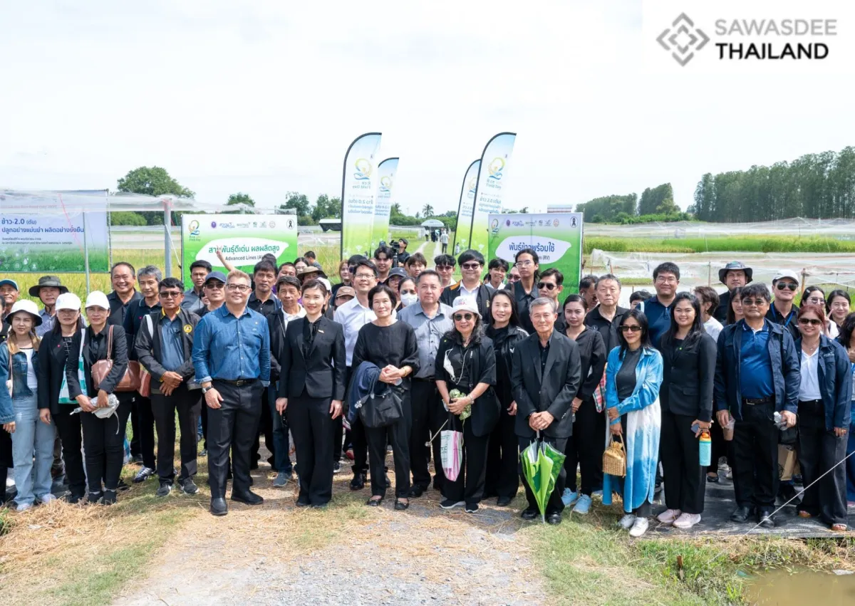 NSTDA and Kasetsart University Showcase High-Yield Climate-Resilient Rice Varieties at “NSTDA-KU Rice Field Day 2025”