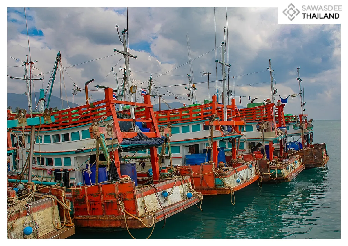 Fisheries issues Seabook renewal guidelines to ease labour crunch