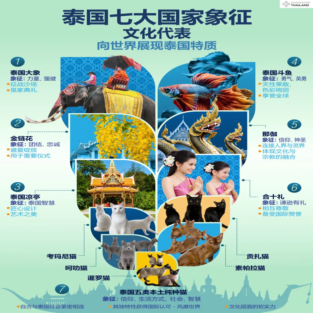 泰国七大国家象征 文化代表 向世...