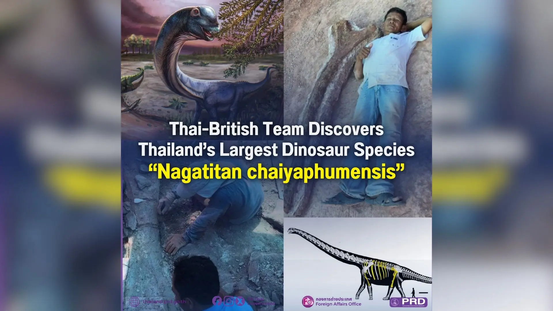 Thai-British Team Discovers Thailand's Largest Dinosaur Species "Nagatitan chaiyaphumensis"