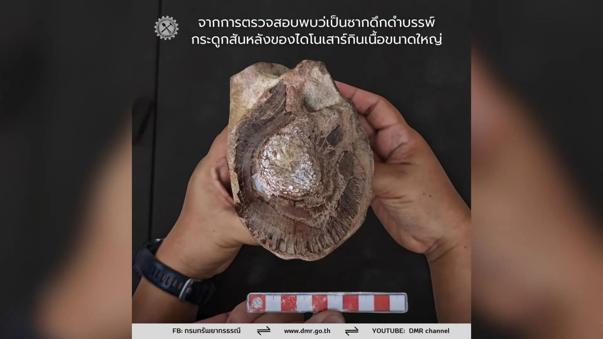 Thailand Inspects New Dinosaur...
