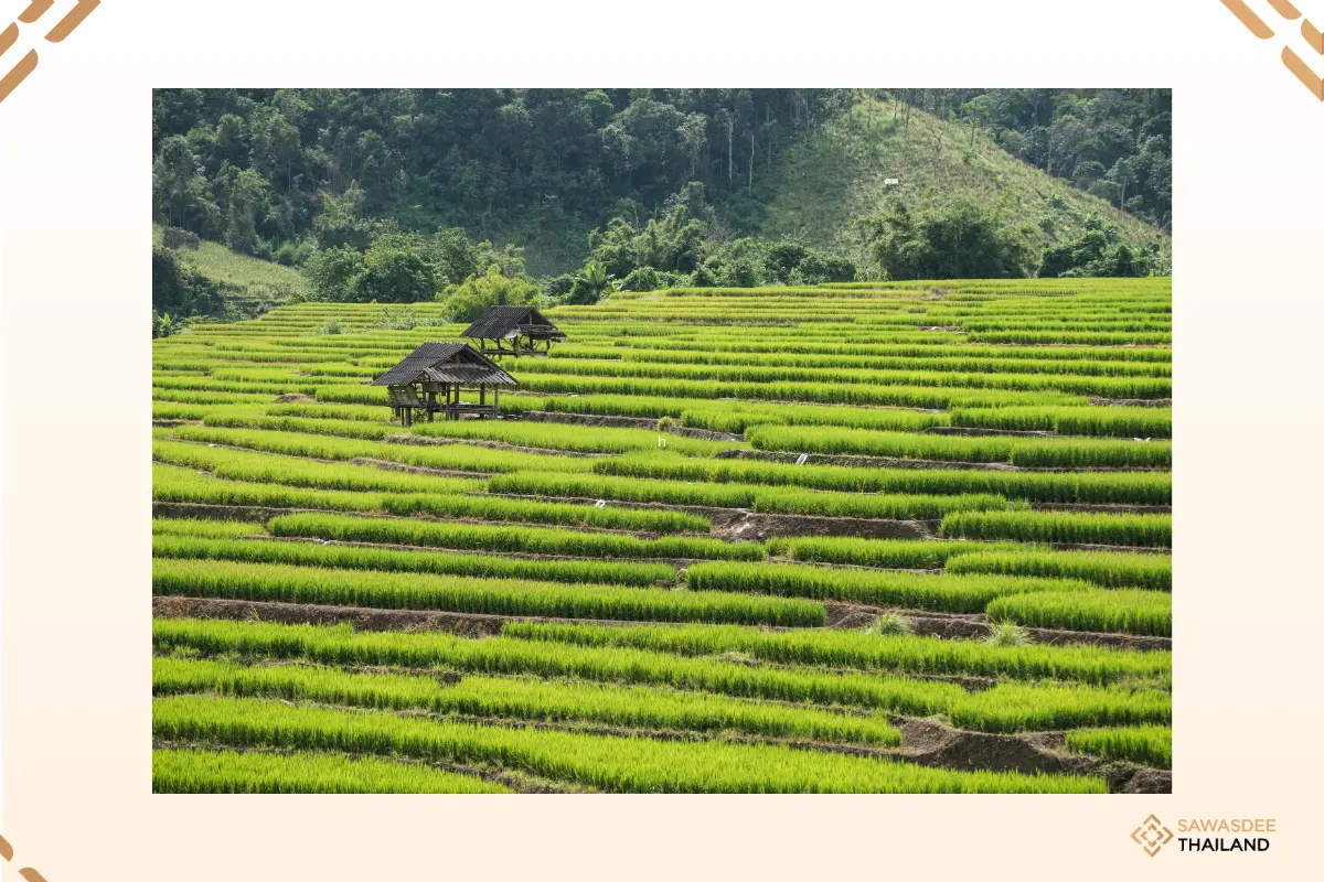 TAT Unveils "Chiang Mai Prototype" to Position the City as a Global Benchmark for Sustainable Tourism