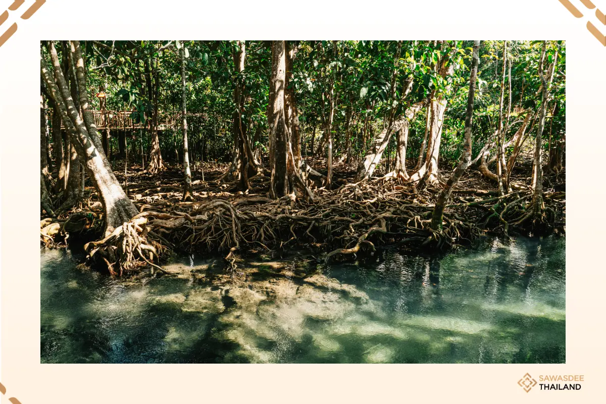 Thailand Urged to Integrate Nature into Economic Planning to Drive Green Growth