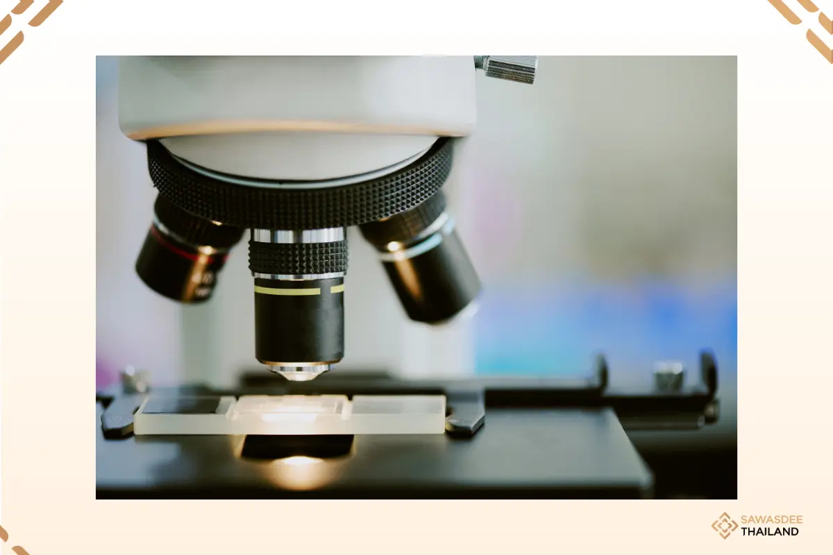 Government Advances Vision to...